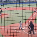 탄금야구장 이미지