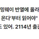 미국 공영라디오방송 "한강이 어니스트 헤밍웨이 반열에 합류했다" 이미지