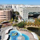 이케아 앞 횡단보도(정문) 이미지