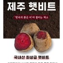 🌟 첫 개시 ! 🌟 선생님들께 해풍맞고 자란 제주 '레드비트' 엄청 저렴하게 개시합니다. 이미지