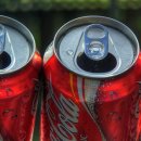 순둥이한끼 이미지