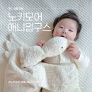 성지세탁 | 노키모어 거위인형 애니멀 라지 구스 리뷰 및 세탁법