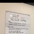 고양이미용실 이미지