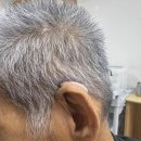 효자보청기 | 부모님 청력 고민 해결한 춘천 보청기 와이덱스보청기 춘천점 후기