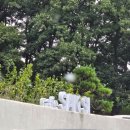 신정호수공원 횡단보도(주차장 건너편) | 내돈내산 아산 신정호 산시 카페 다녀온 솔직후기