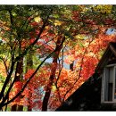 카페링크 이미지