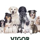 멍믈리에 | [비고앤세이지] 멍믈리에, 사료후기