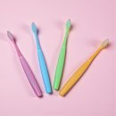 민트약국 | 민트 칫솔 직접 써보고 비교해본 솔직 후기