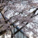 광덕고 학교안 이미지