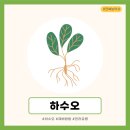 고려농약사 이미지