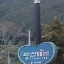 룸숲 이미지