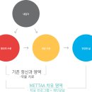 메타스테이션