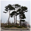 선명건설(주) | [공지] 오송보청기 벨톤 인비전 ENV1762S-DRWC 후기