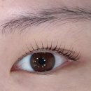 고봉민김밥 지제교차로점 | 수영속눈썹 노글루펌 추천, 유히브로우