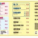 포크랜드 이미지