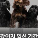 언양 동물병원 이미지