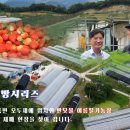 메디풀(Medipool) 이미지