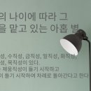 직성한자