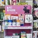 모자약국 이미지