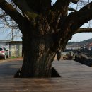 평지리마을회관 이미지