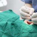 내원백운 이미지