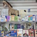 윤진약국 이미지