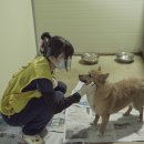 공주동물병원 이미지