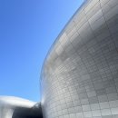 스타벅스 동대문디자인플라자점 | DDP 스타벅스 위치 스타벅스 동대문디자인플라자점