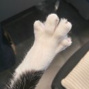 밴스동물병원 이미지