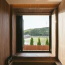 스테이오캄 이미지