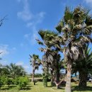 사우스사계 이미지