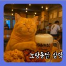 노랑통닭 상암점 | 상암 노랑통닭 후기, 한맥 생맥주와 더큰후라이드 반반치킨으로 토트넘 경기 전부터 힐링