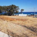 캠핑장펜션 이미지