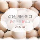 호프마루 이미지