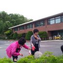 해동일터 이미지