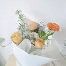 하브안경 | 무료 꽃 배달 ㅣ 안양 아트센터 꽃집 ㅣ피치빛 사랑을 담은 비하브 장미 꽃다발 – 안양 한아름 플라워
