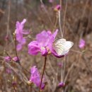 (주)디자인하는사람들 네이버블로그