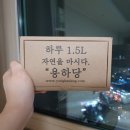 건강한 약초 이미지