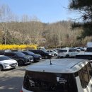 (주)제일가스부천지점 | [경기도 부천 여행] 원미산 진달래동산축제 방문 후기｜주차방법·개화상태 정리