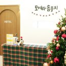 솜사탕 애견미용실 이미지