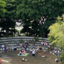 째보선창협동조합 이미지