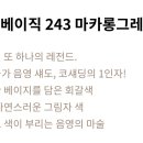 하우투컬러이미지