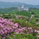 풍기면옥