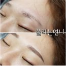 끌리는언니