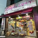 개밥파는고양이김포