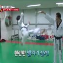 경희대 태권스쿨 이미지