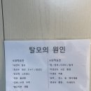 신서로 | 대구동구탈모관리전문 금비헤어클리닉 방문 후기