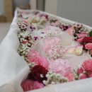 금강의전 이미지