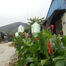 세례유정란농장 이미지