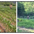 나우농장 이미지